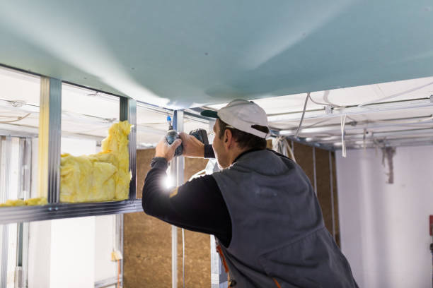 Best Geographic-Specific Insulation Services in Waxahachie, TX